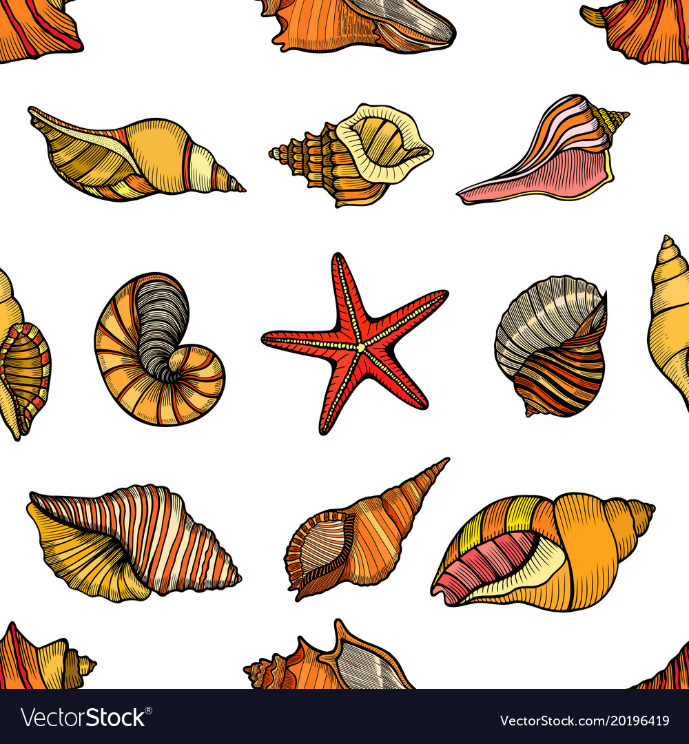 Seamless pattern shells