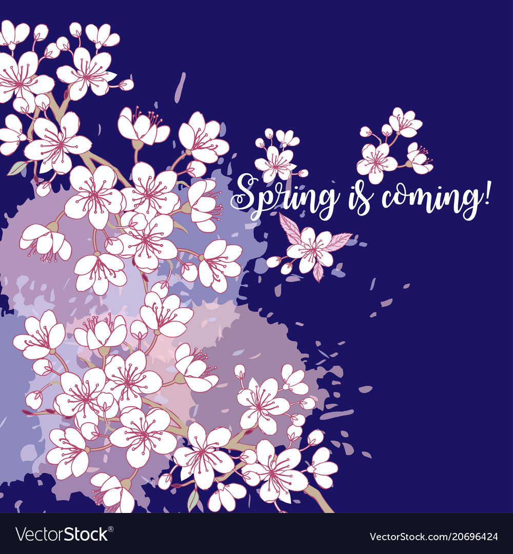 Seamless pattern with sakura hand drawn spring