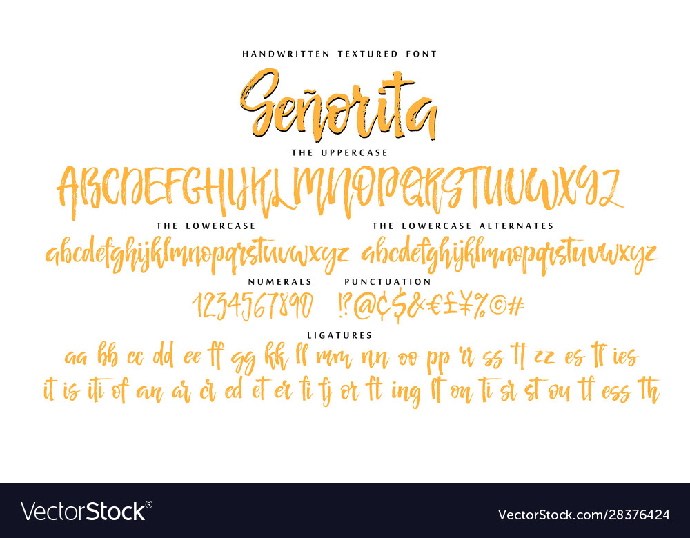 Senorita Script Font - Calligraphy Set