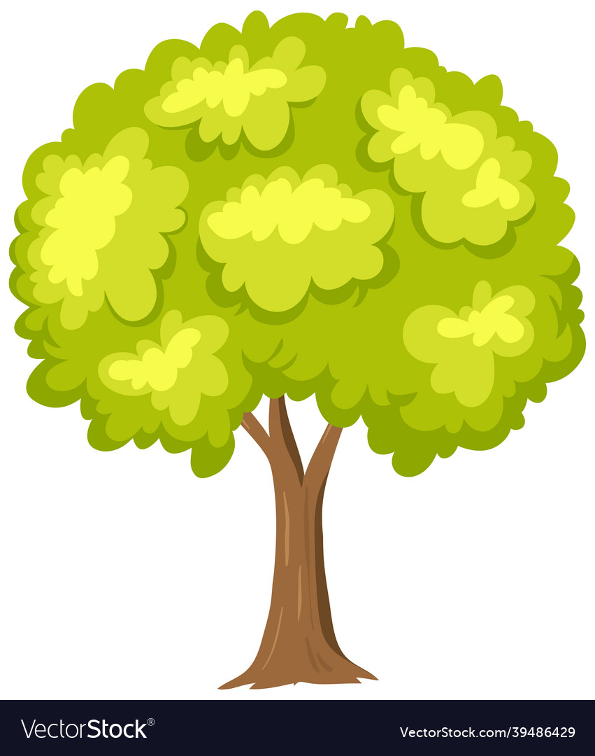 Simple tree on white background Royalty Free Vector Image