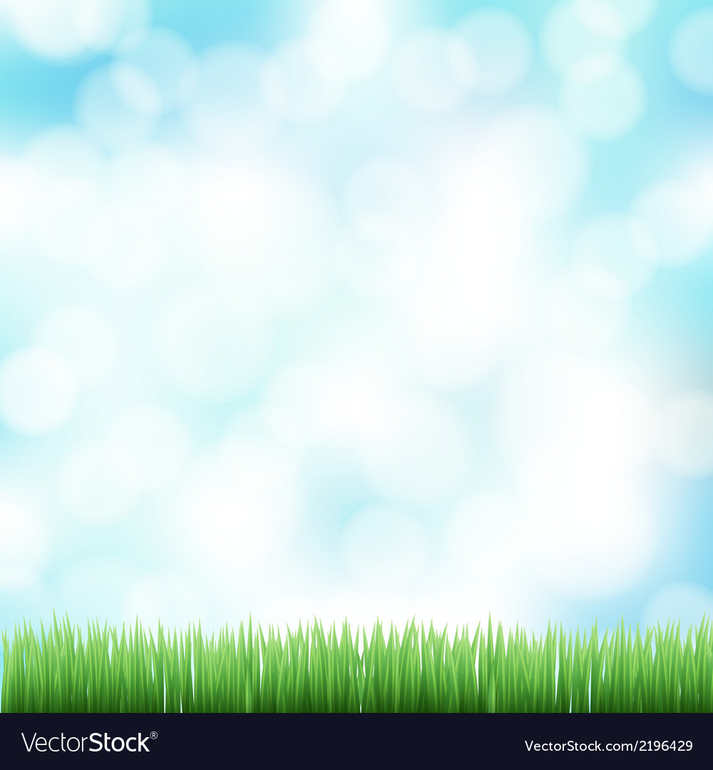 Spring Bokeh Grass Background
