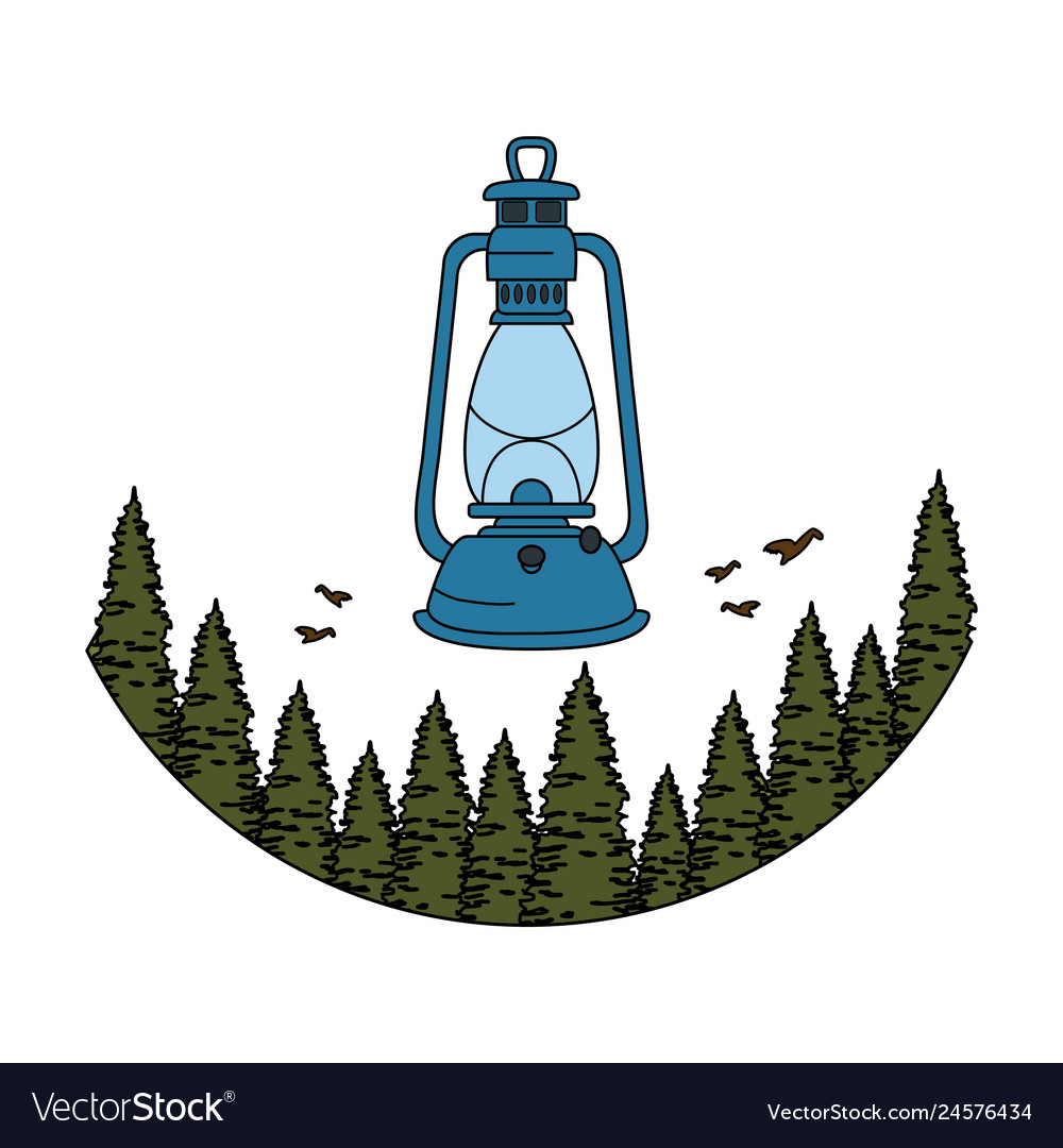 Pines trees forest scene with kerosene lantern