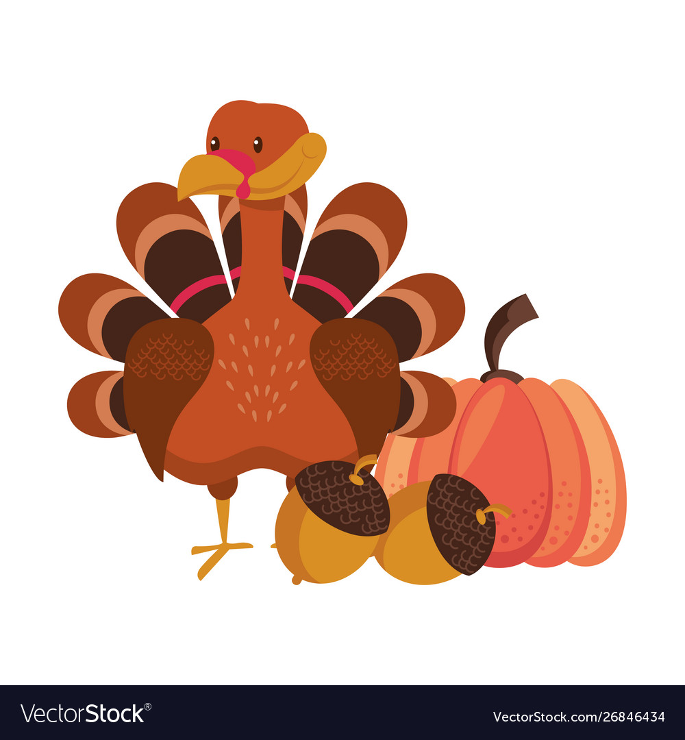 Wild animals and elements thanksgiving day Vector Image