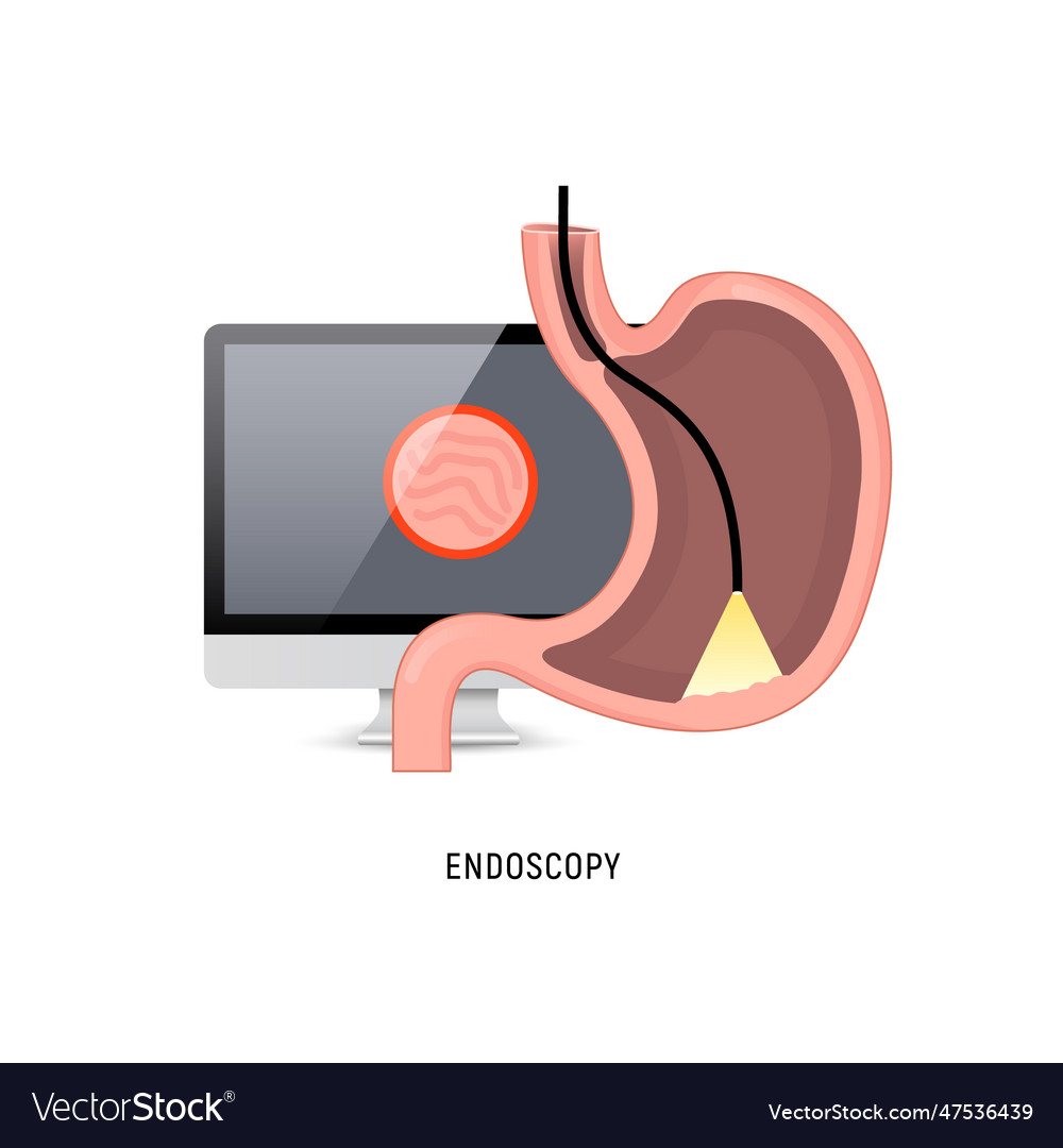 Endoscopy logo icon stomach gastroscopy cartoon Vector Image