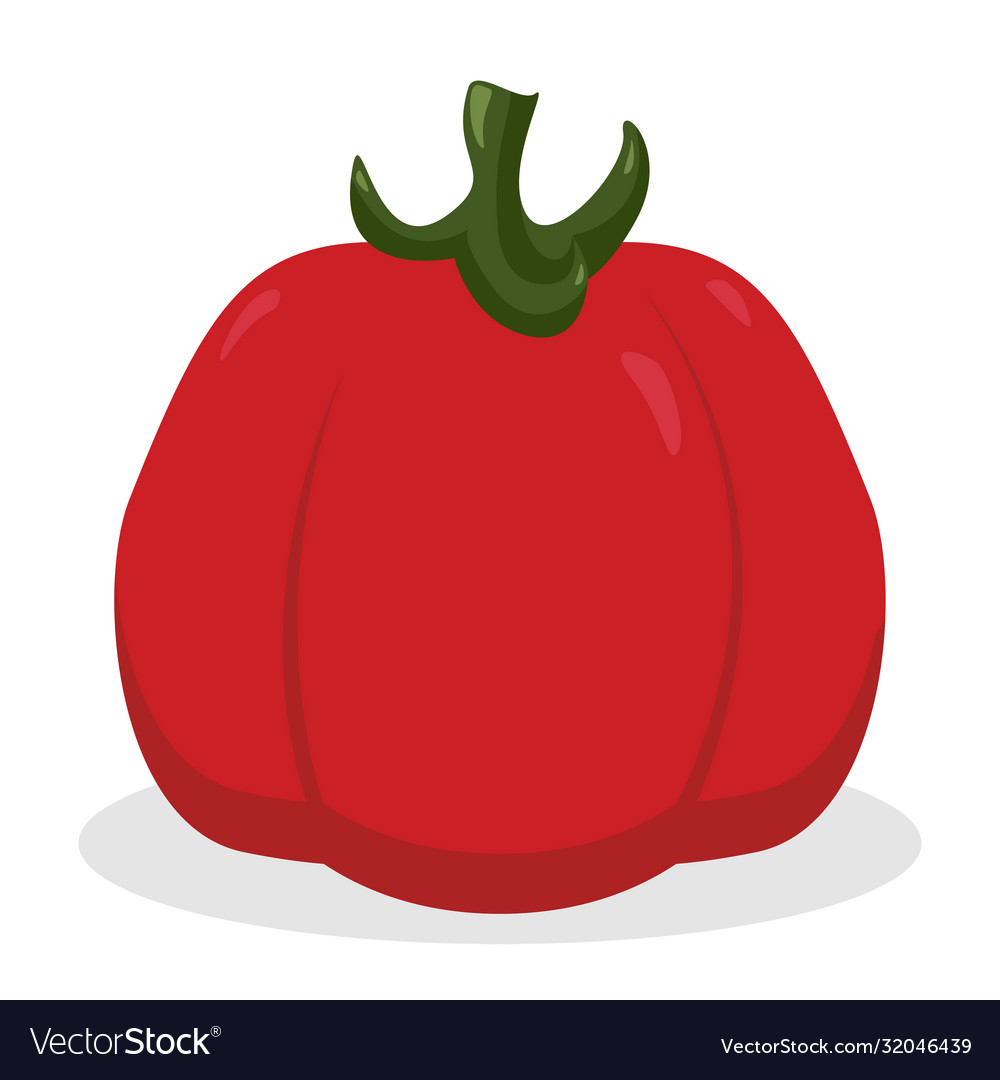 Tomato icon vegetable organic eco design vector image Tomato icon vegetable organic eco design