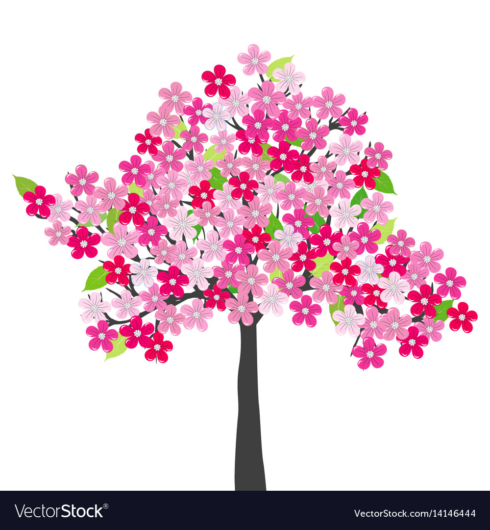 Cherry tree Royalty Free Vector Image - VectorStock