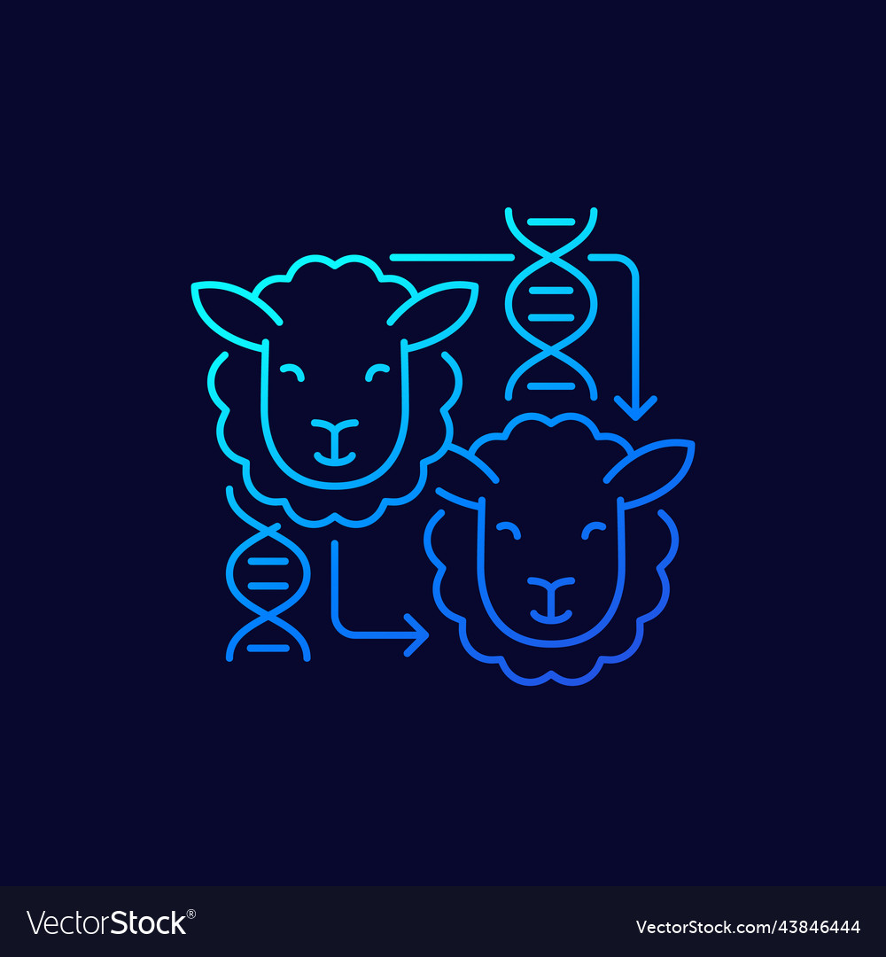 Cloning line icon with a sheep