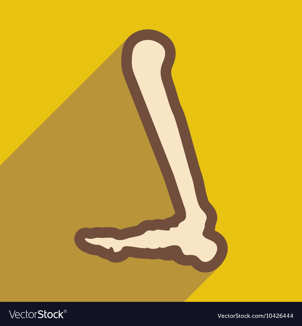 Flat icon with long shadow human leg bone