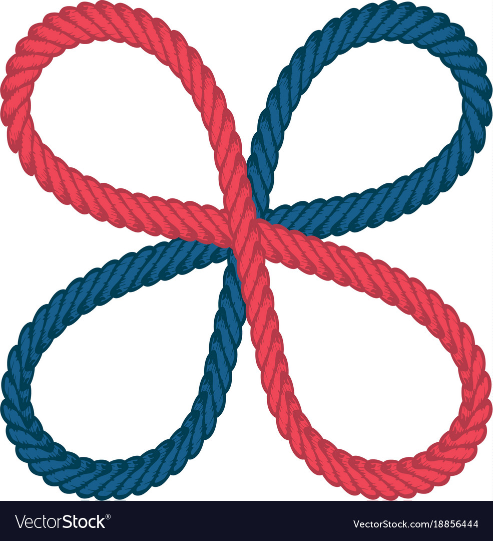 Lasso rope Royalty Free Vector Image VectorStock