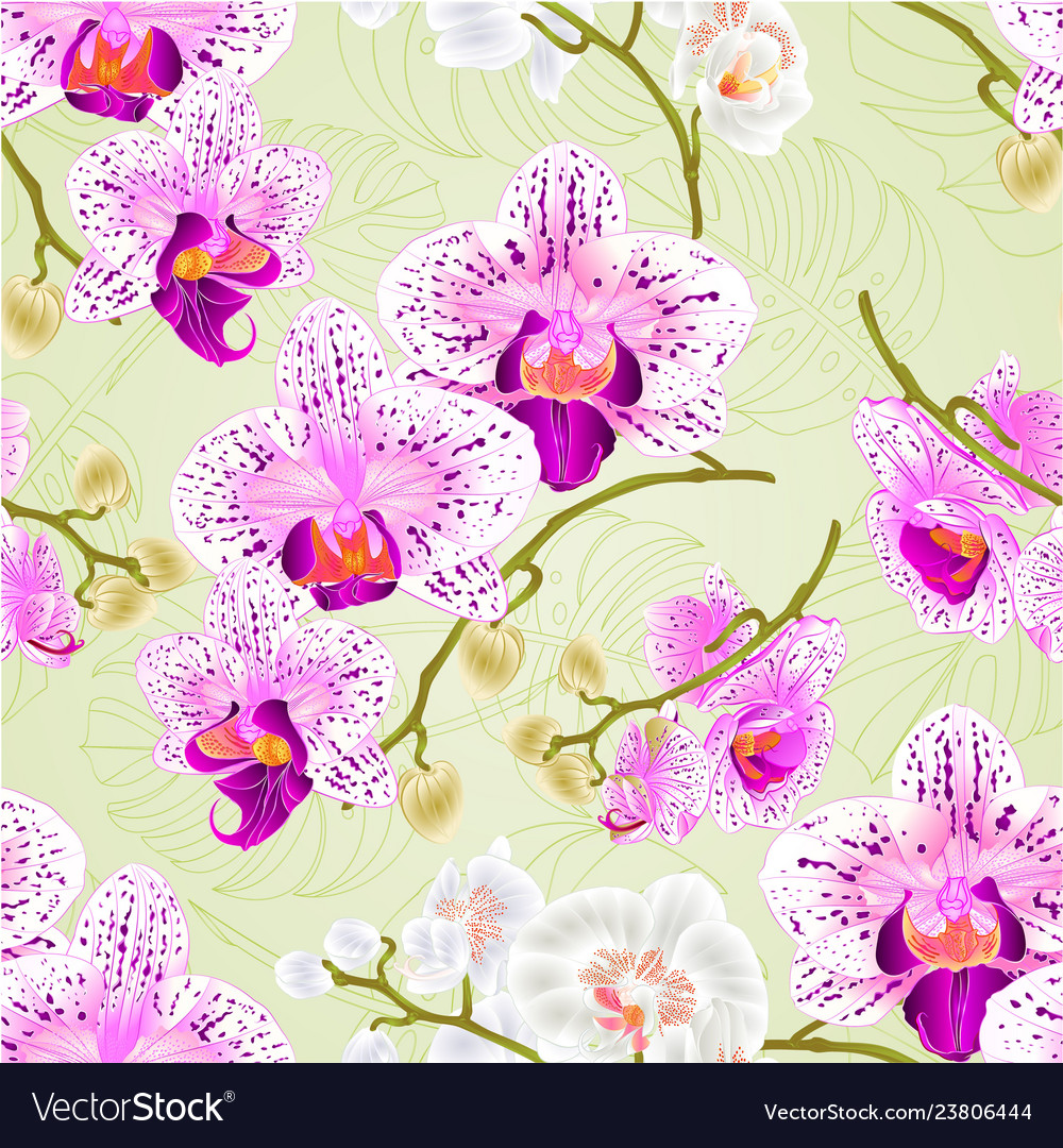 Seamless texture orchids purple and white