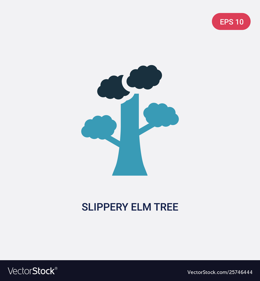 Slippery Elm Tree Icon