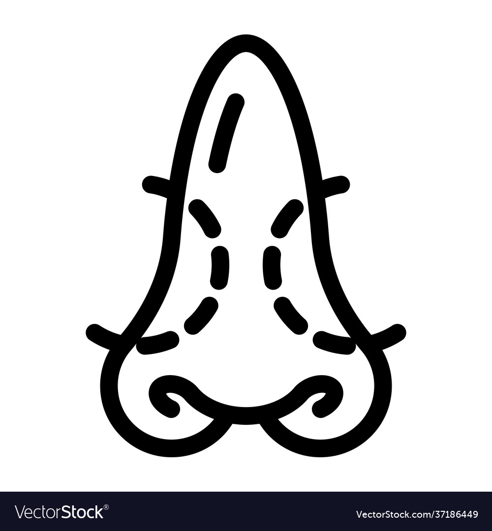 Nose Surgery Royalty Free Vector Image - Vectorstock