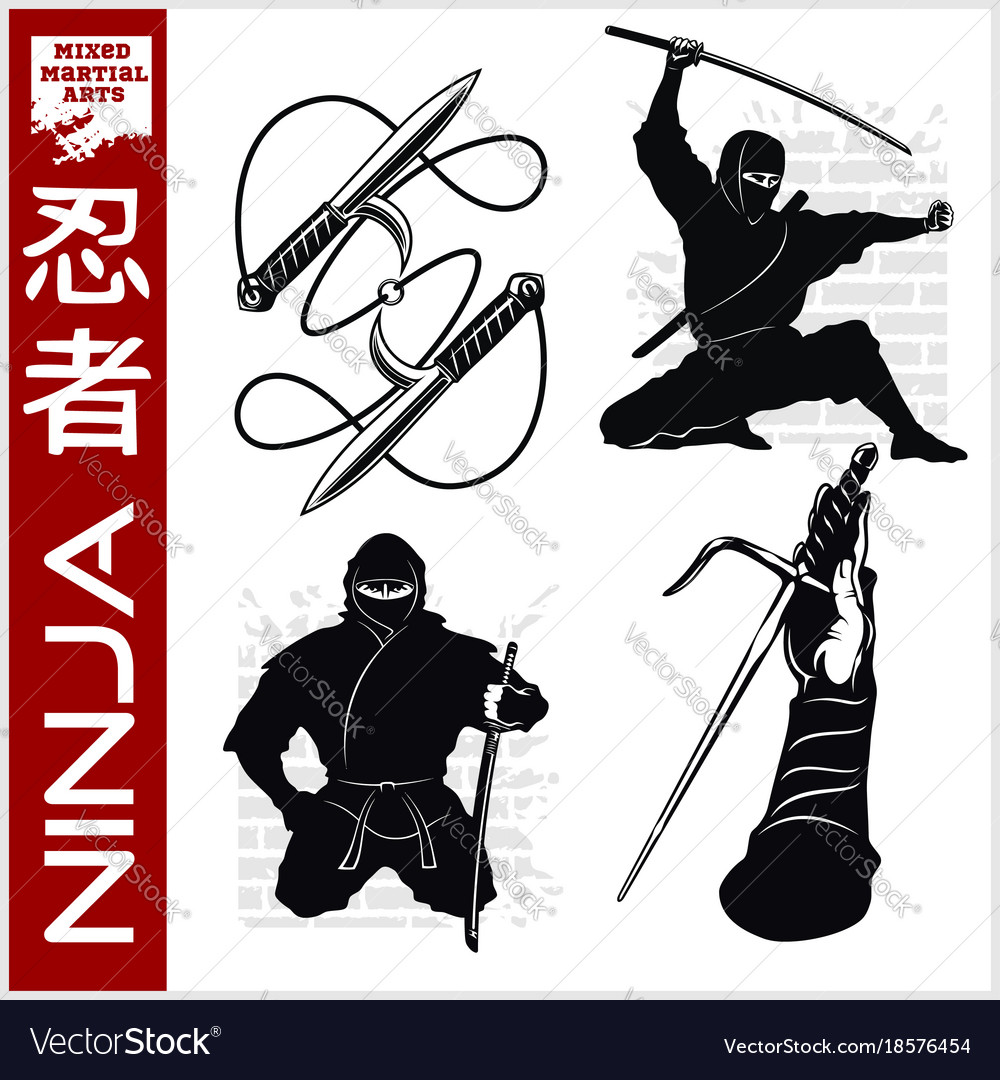 Ninja warrior fighter - mixed martial art Vector Image