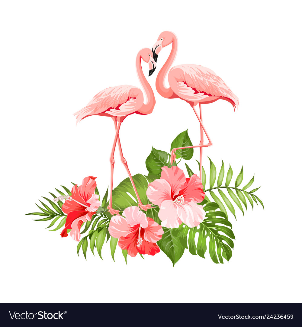 Tropical background summer Royalty Free Vector Image