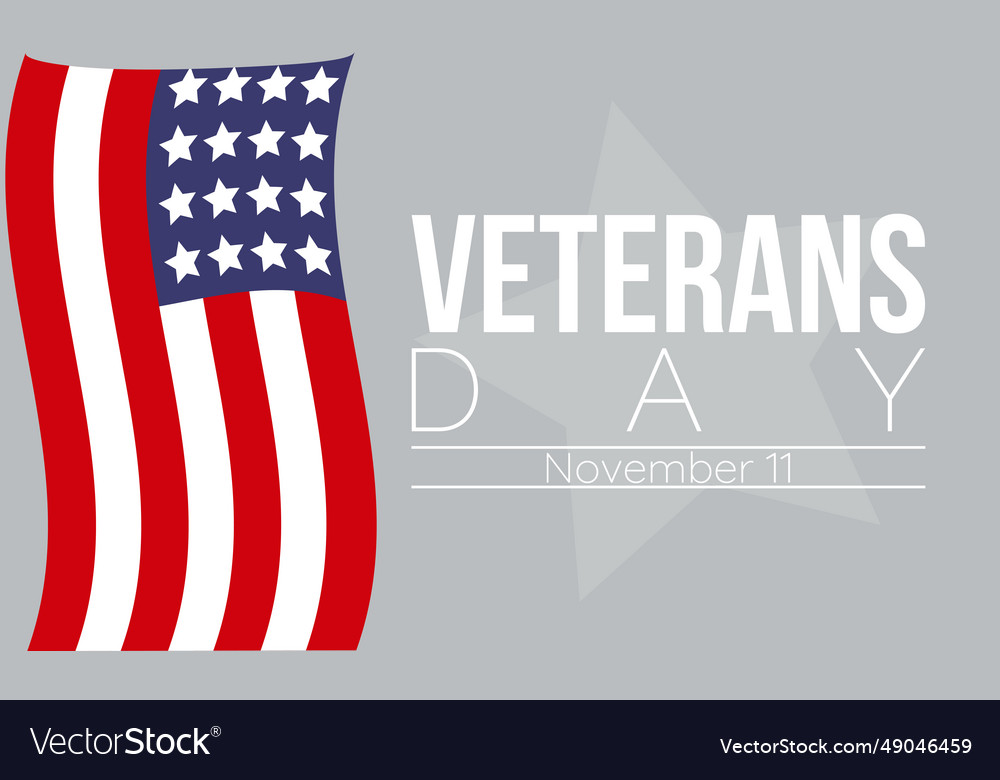 Veterans day tribute with american flag saluting Vector Image