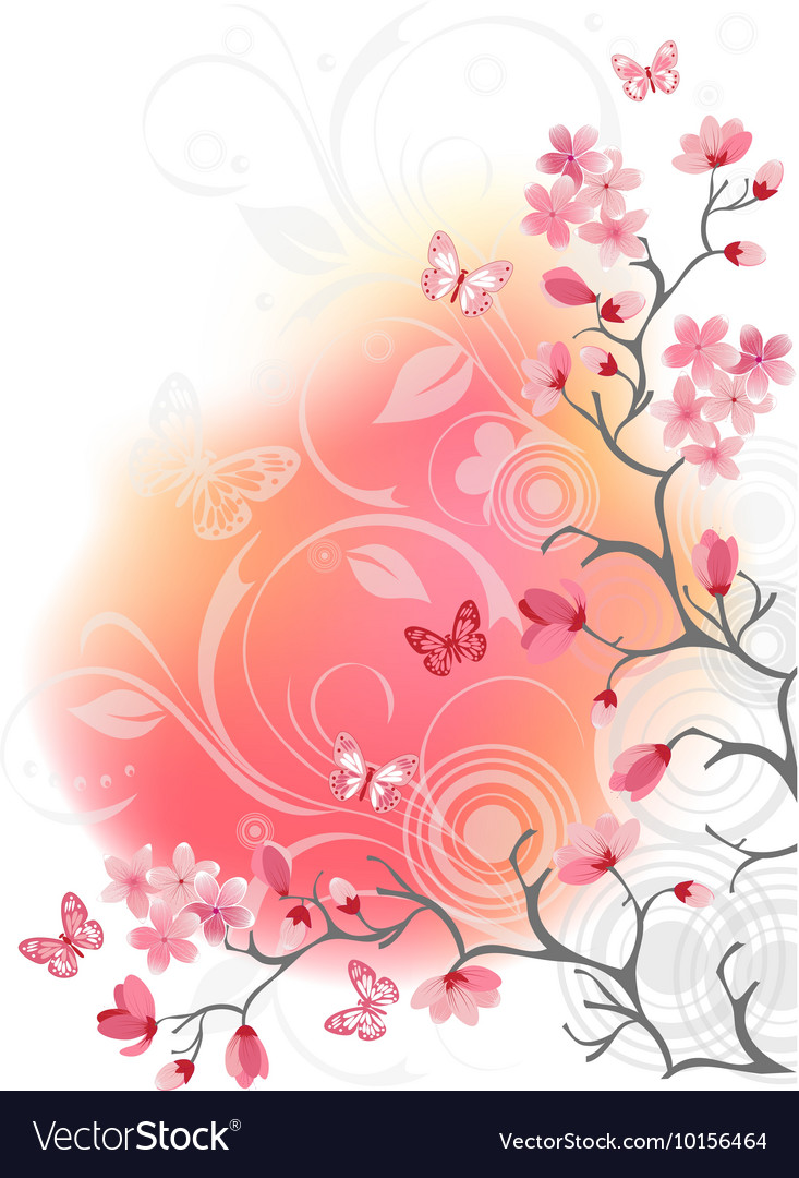 Cherry Blossom Tree White Background Royalty Free Vector