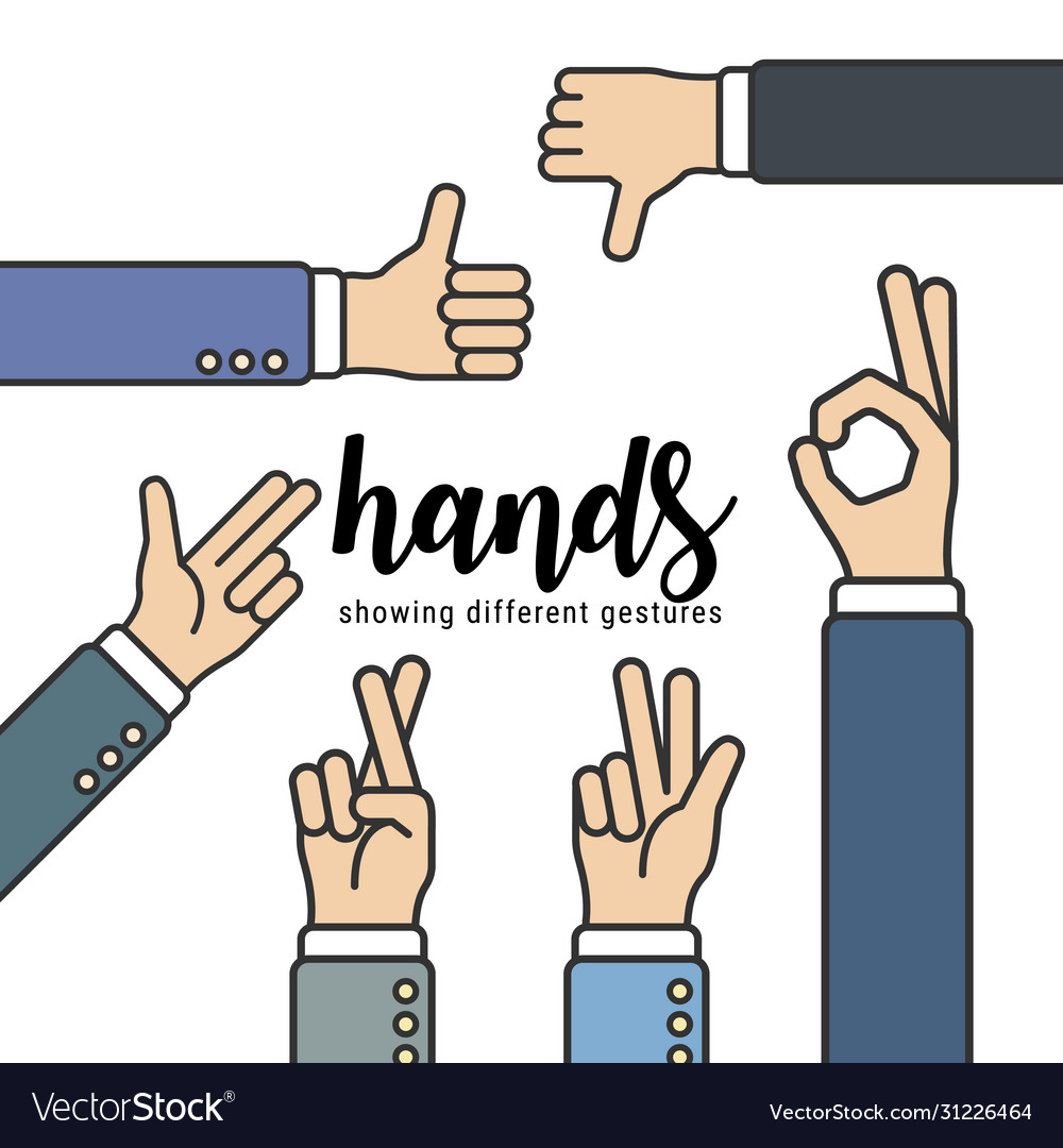 Hands showing different gestures for designer vector image Hands showing different gestures for designer