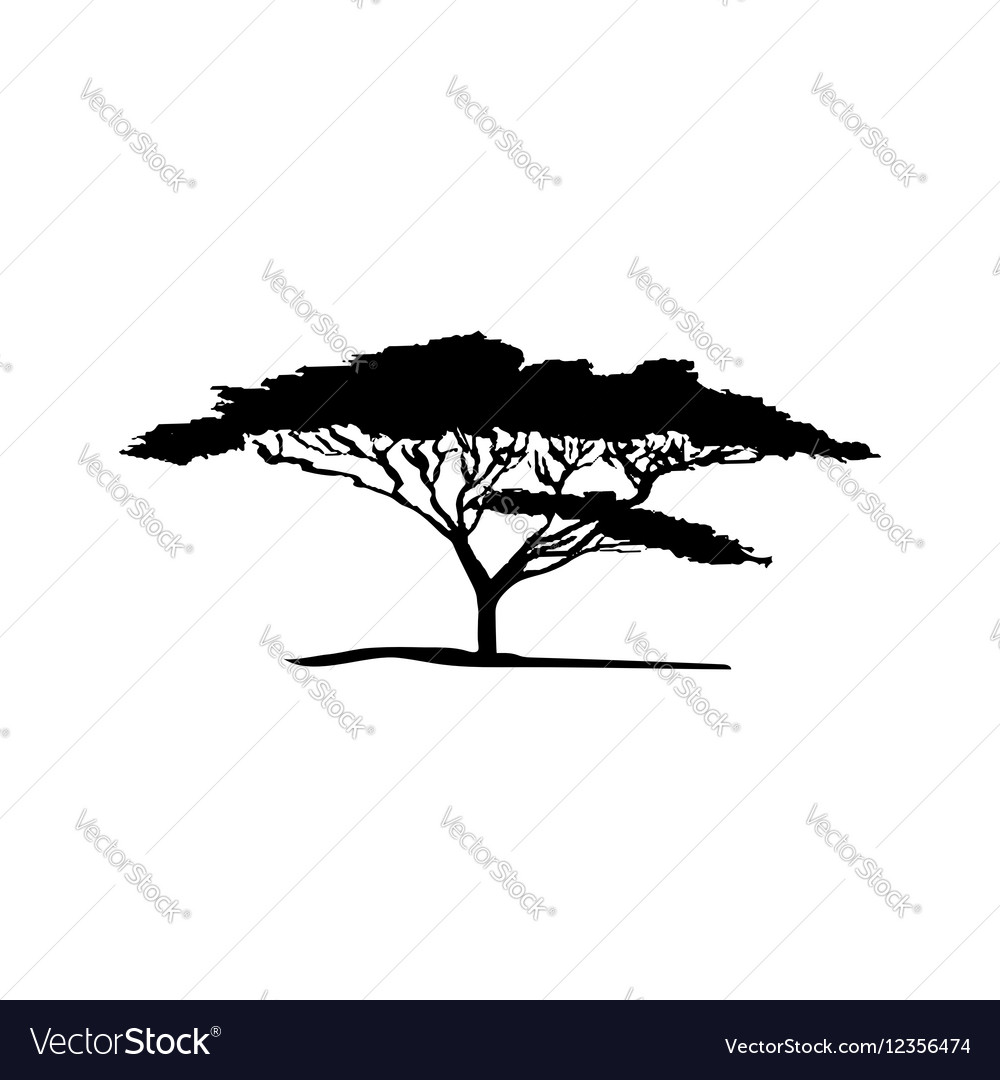 Acacia Silhouette - African Tree