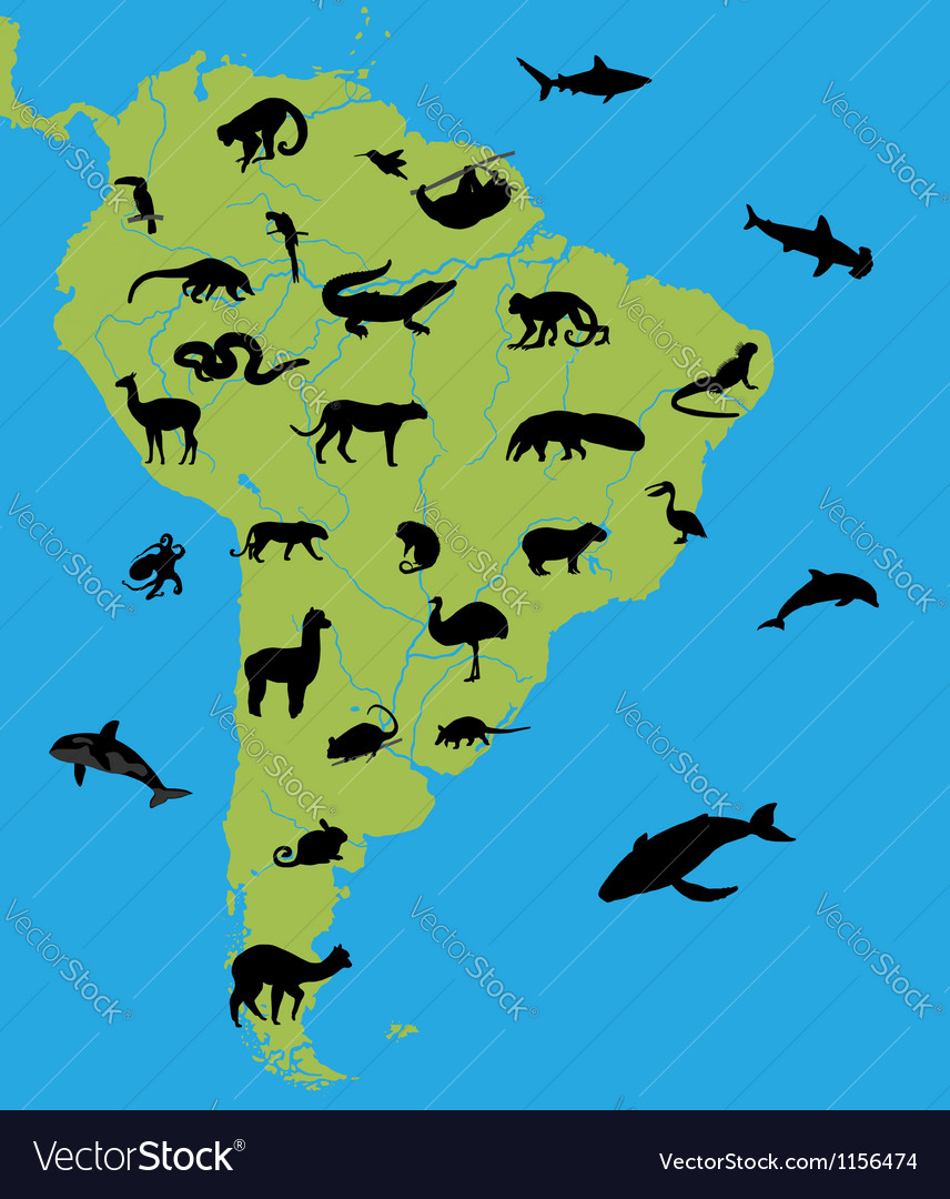 Animals on the map of south america Royalty Free Vector