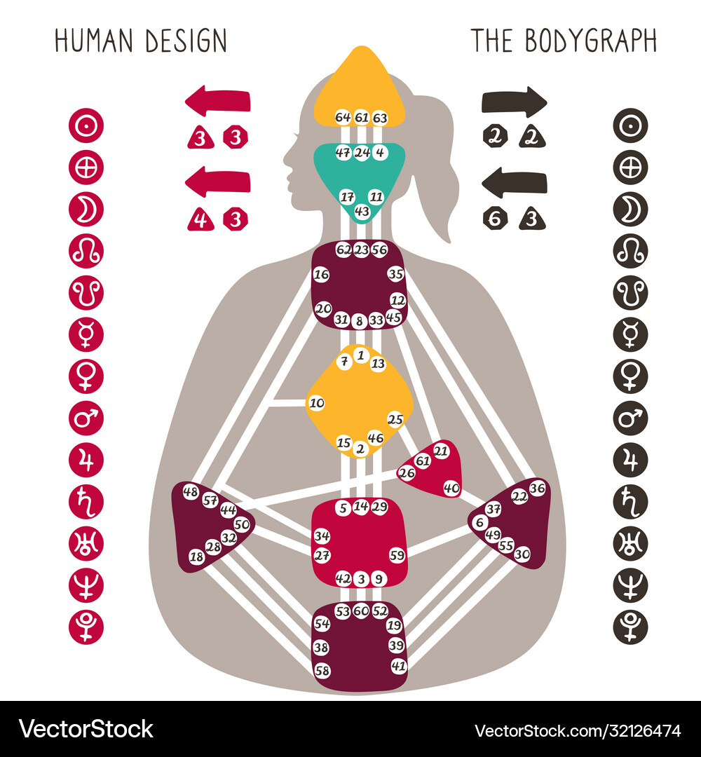Human design bodygraph chart nine colored energy Vector Image