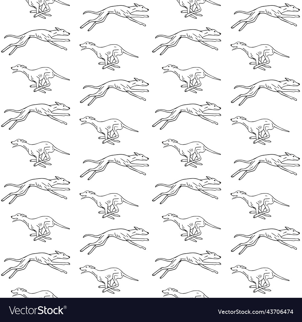 Seamless pattern of hand drawn whippet vector image Seamless pattern of hand drawn whippet