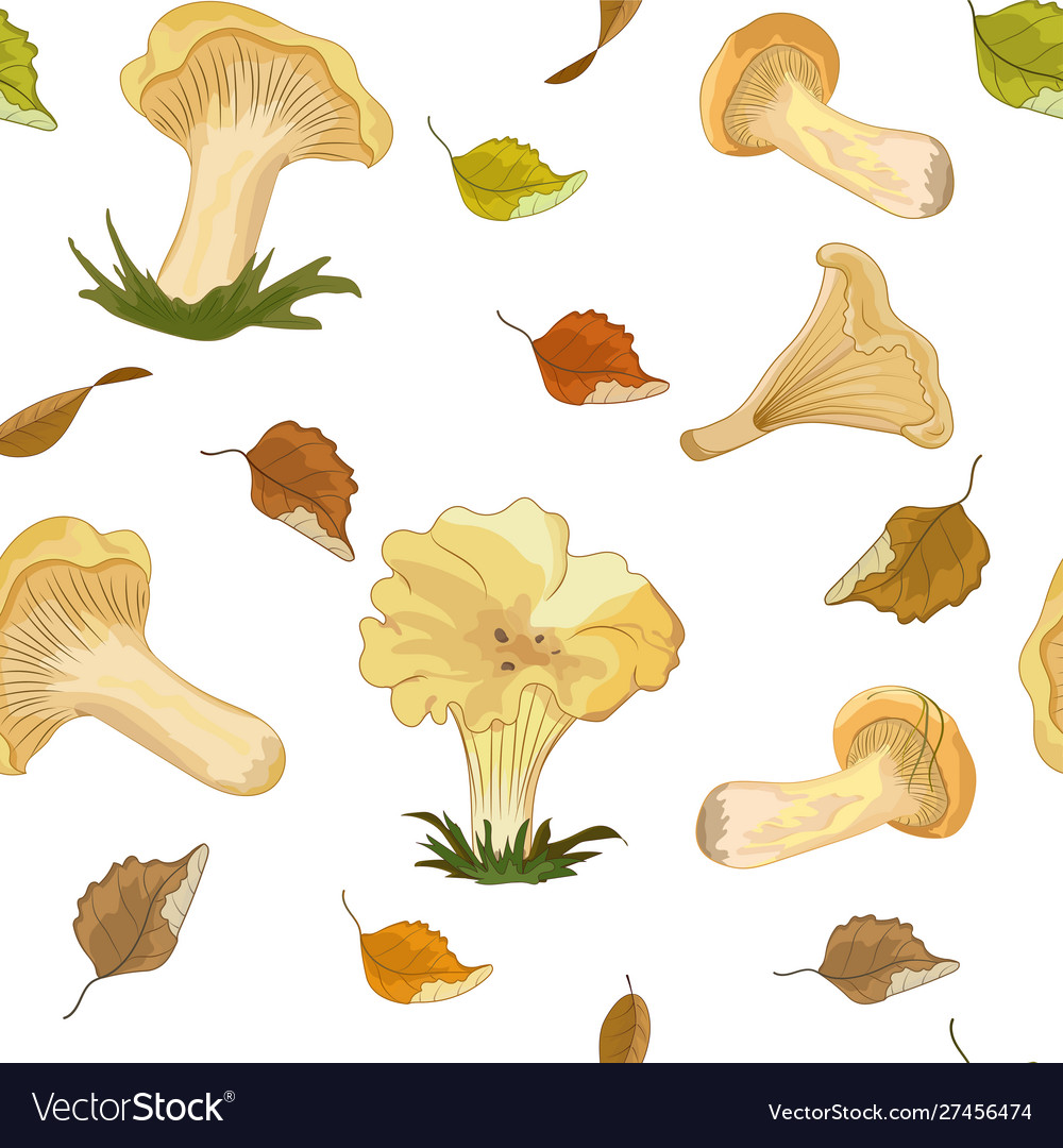 Seamless pattern with forest mushrooms