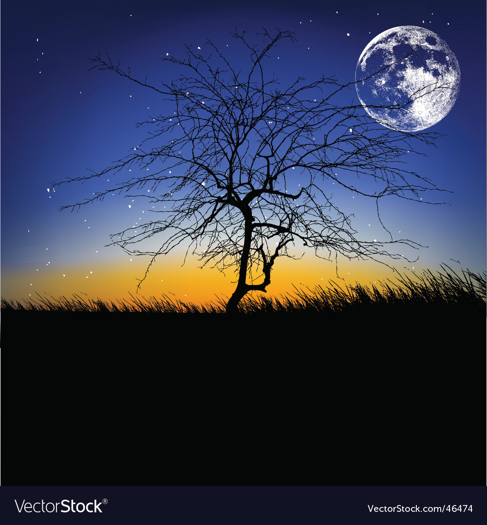 Silhouetted Tree Under a Moonlit Sky
