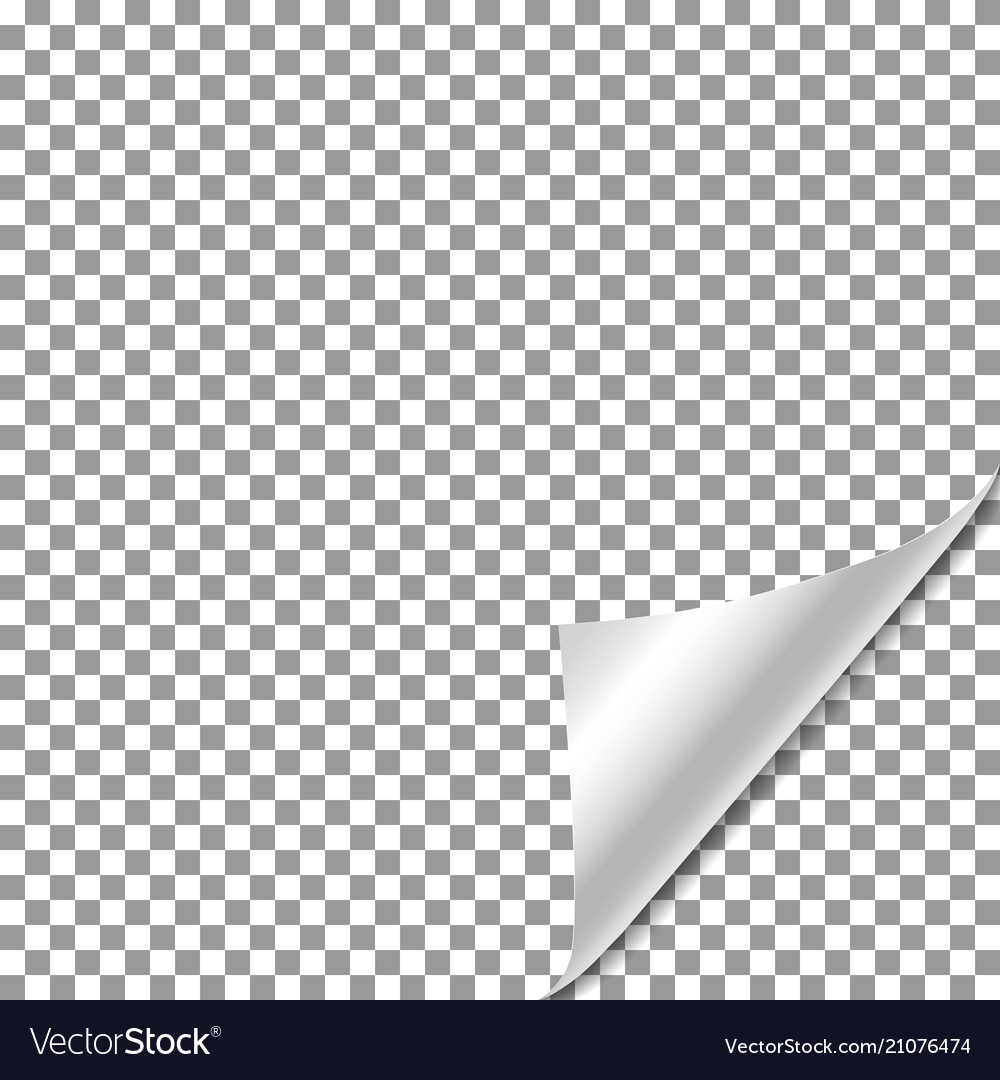 White gradient paper curl with shadow isolated vector image White gradient paper curl with shadow isolated