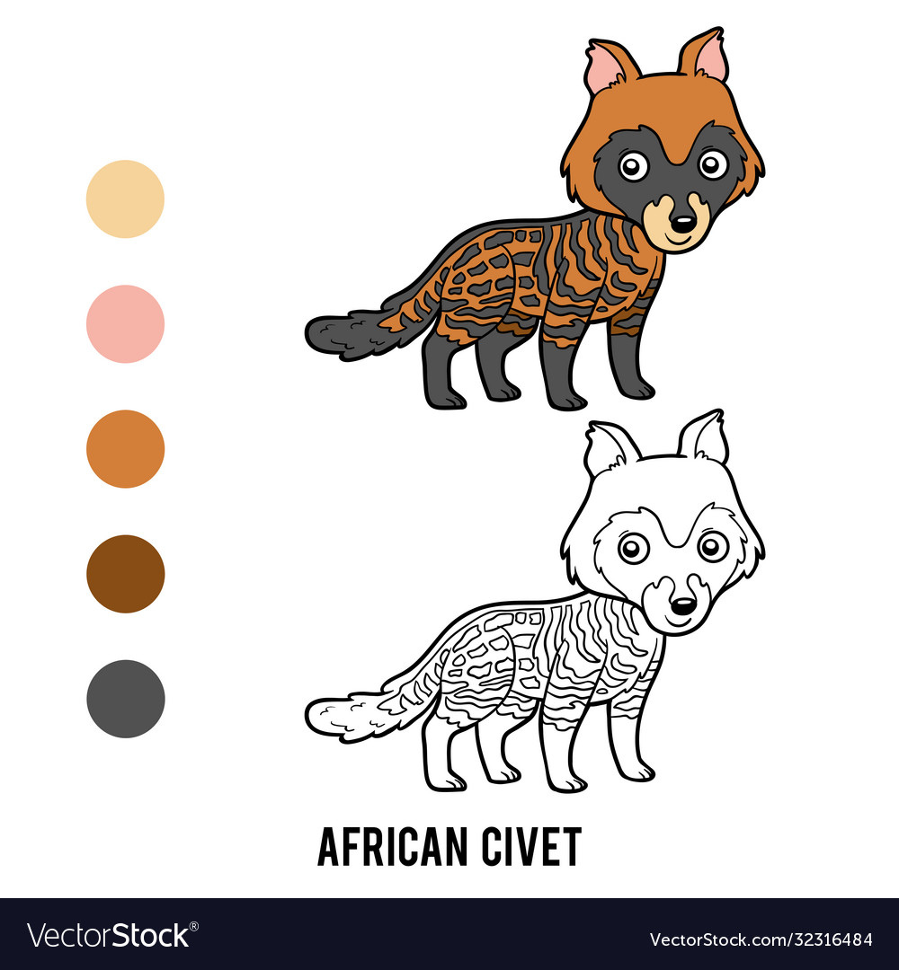 Coloring book african civet