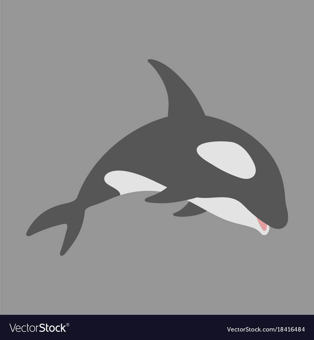 Flat icon on theme save whales killer whale