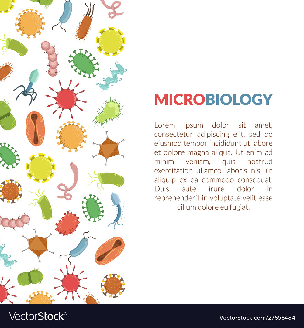 Mikrobiologie Banner Vorlage