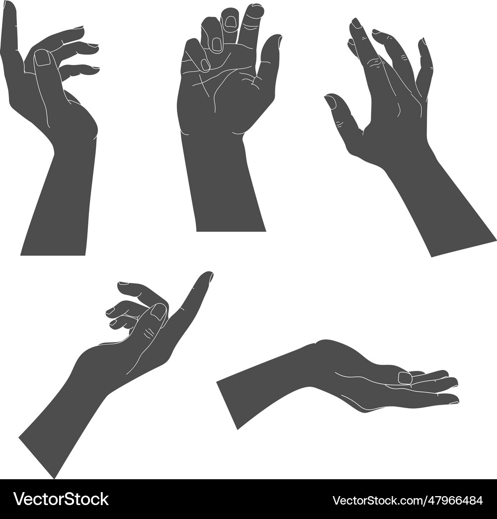 Set of human hands with different graceful Vector Image