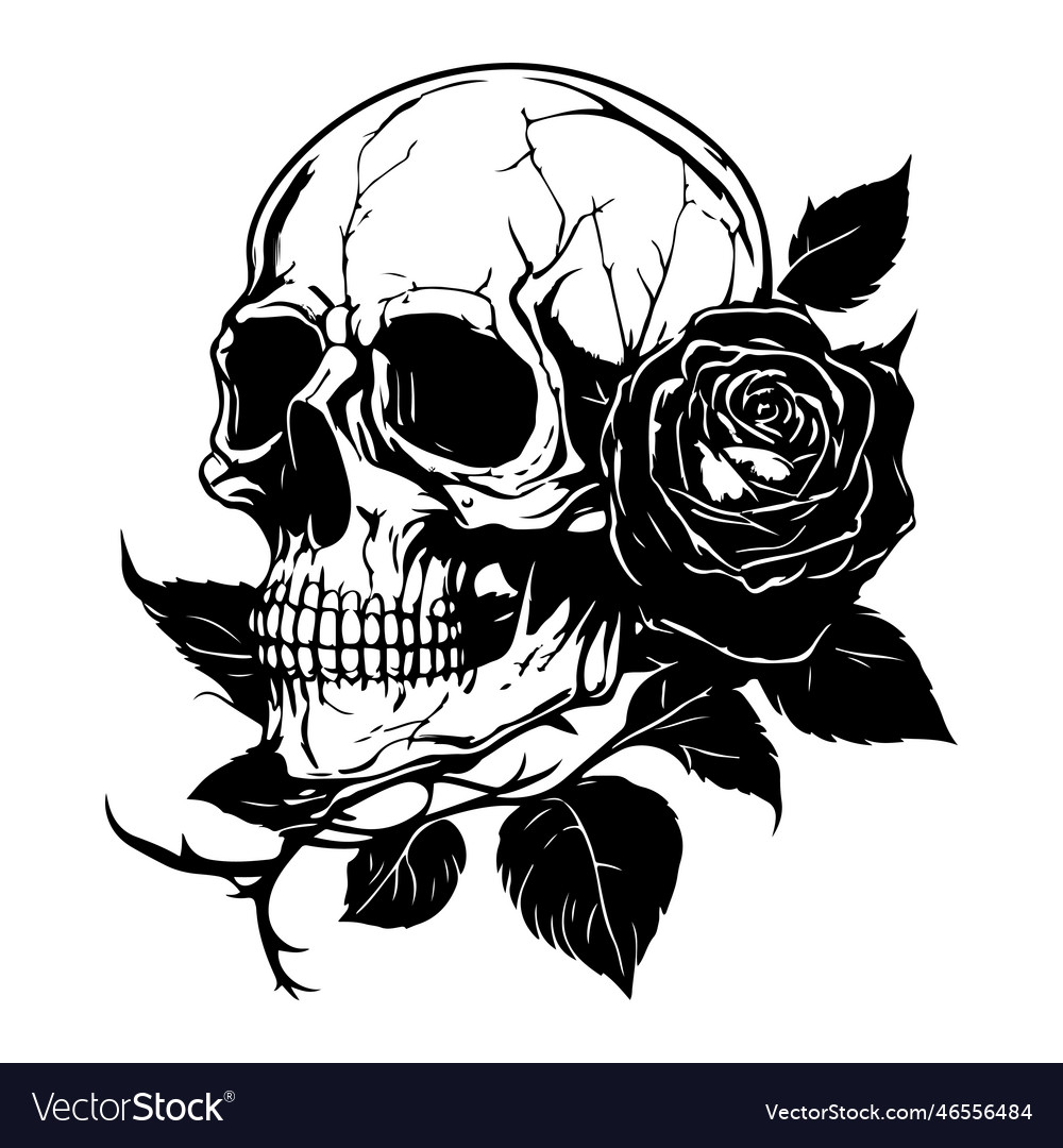 Skull with rose flower black outline Royalty Free Vector