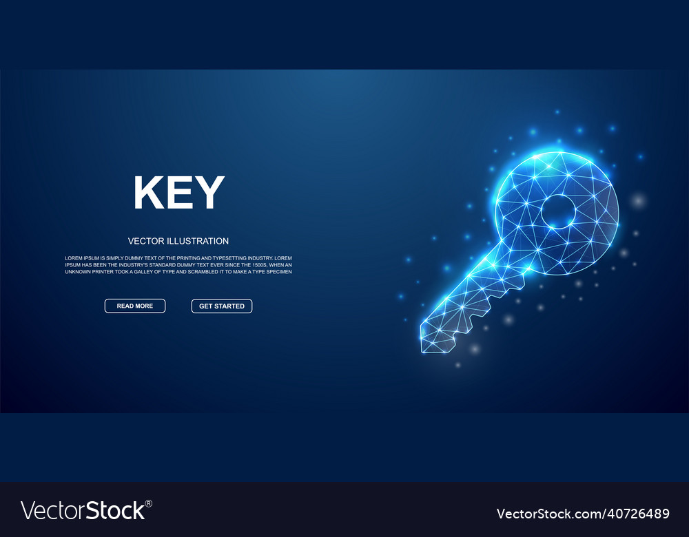 3d key low poly symbol with connected dots