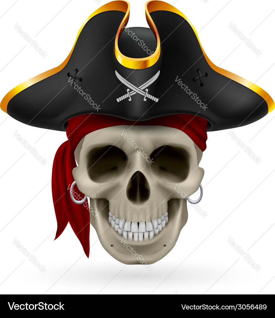 Pirate skull Royalty Free Vector Image - VectorStock