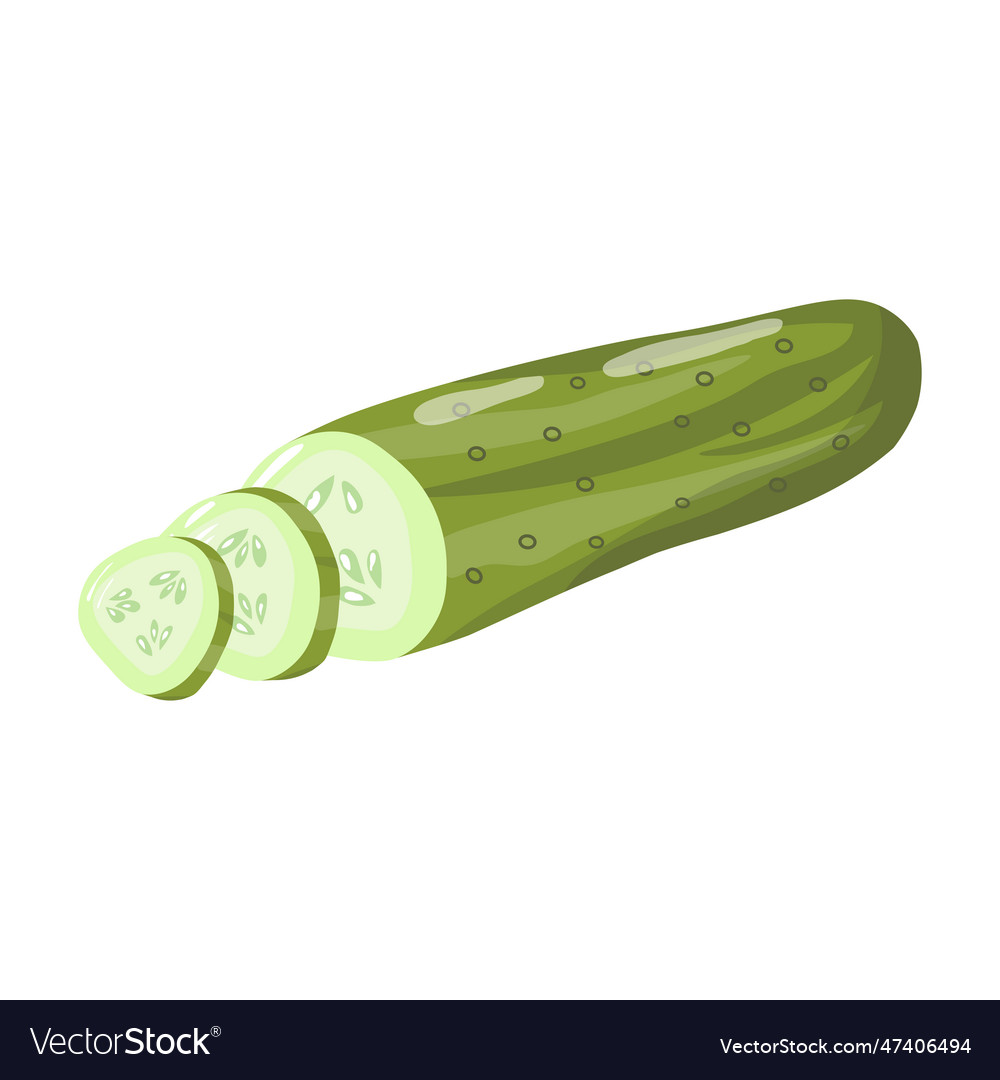 Green cucumber with slices vector image Green cucumber with slices