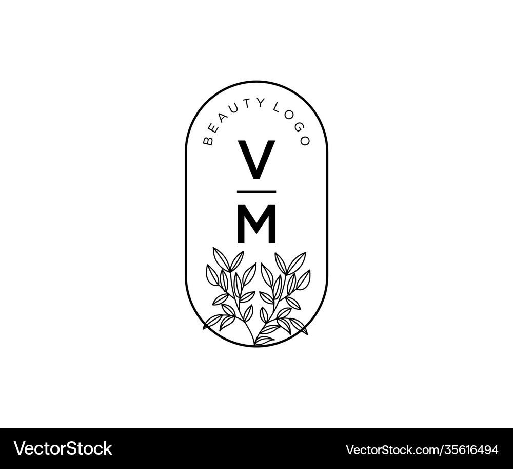 Initial vm letters beautiful floral feminine Vector Image