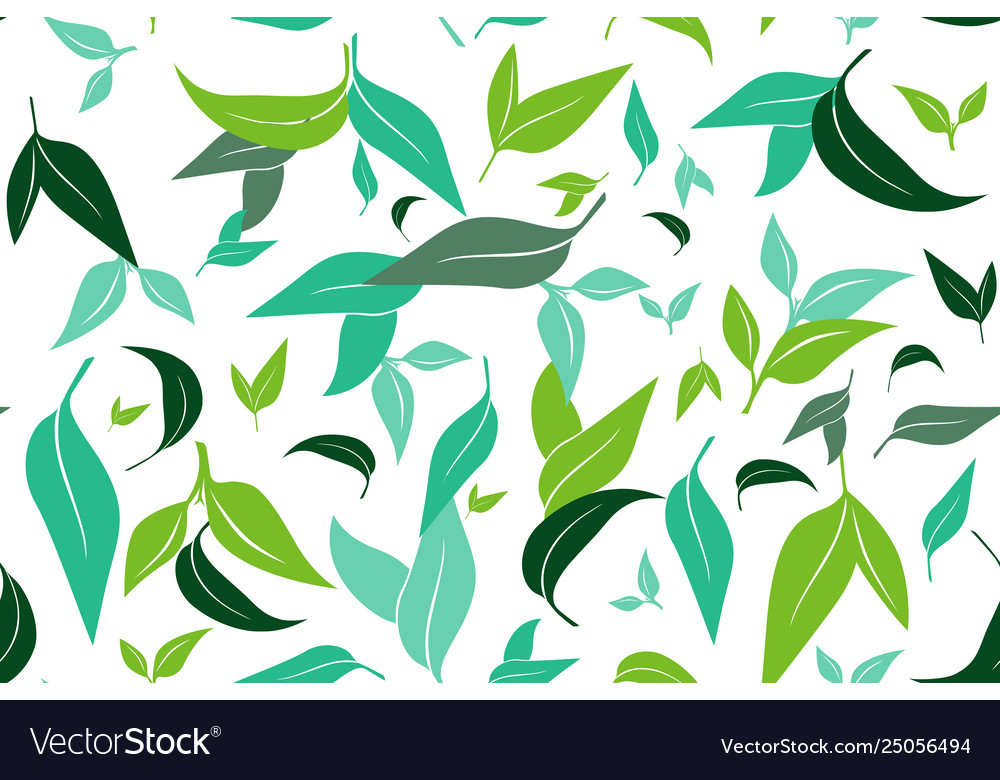 Seamless pattern with green tea leaves on white