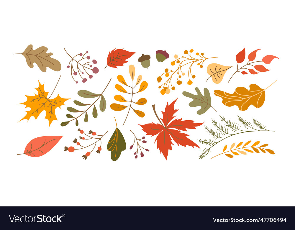 Set of leaves cartoon style autumn leaves Vector Image