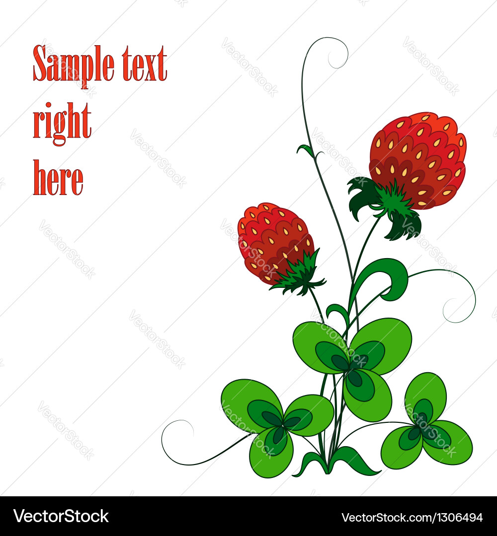 Strawberry Royalty Free Vector Image - VectorStock