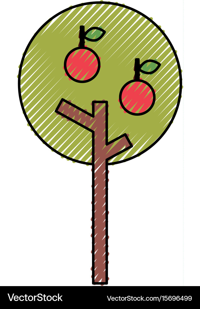 Apple tree isolated icon Royalty Free Vector Image