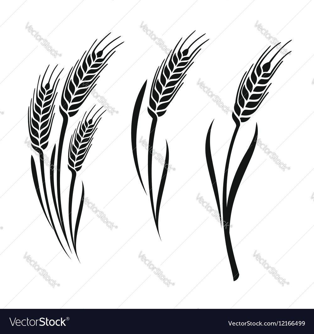 Wheat ears