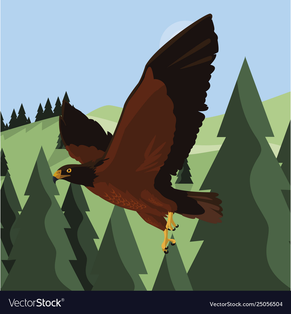 Beautiful eagle flying in landscape majestic Vector Image