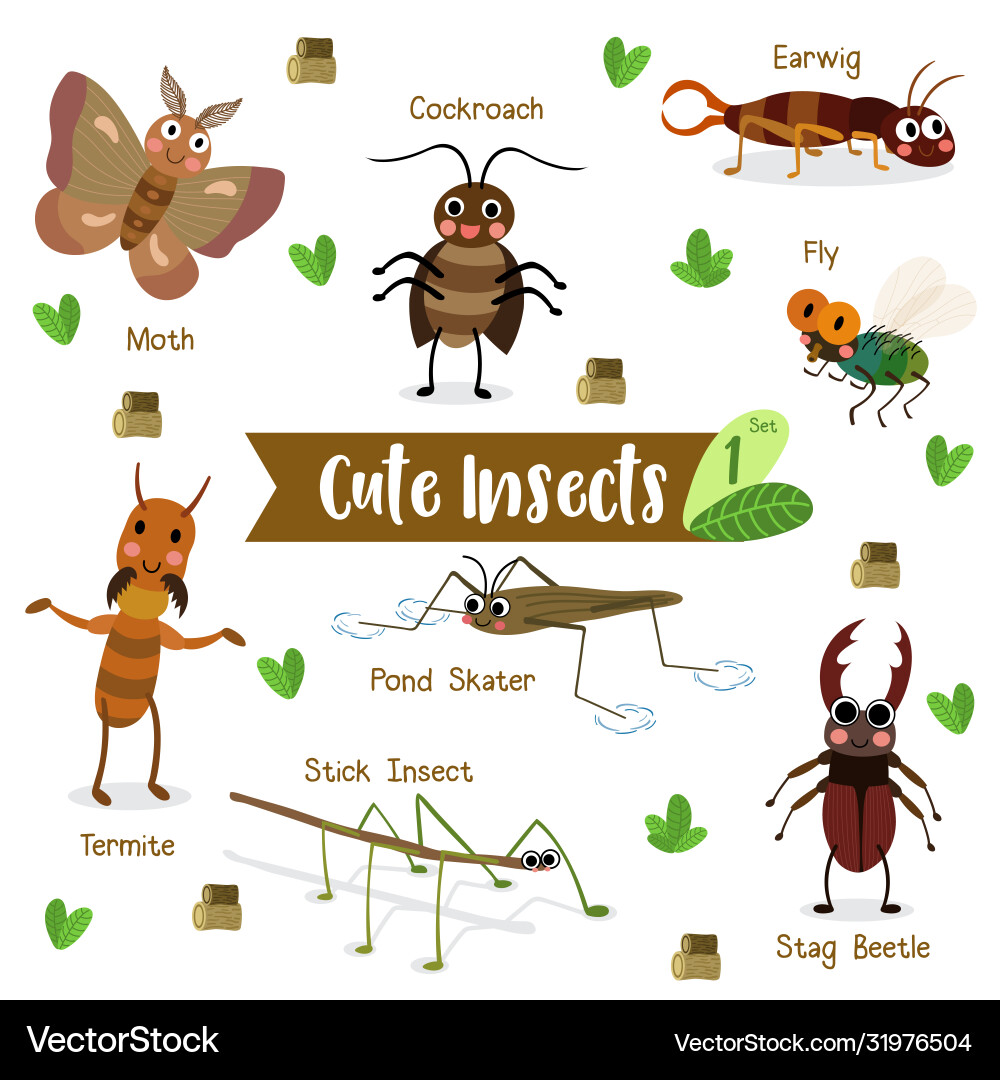 Insect bug animal cartoon on white background Vector Image