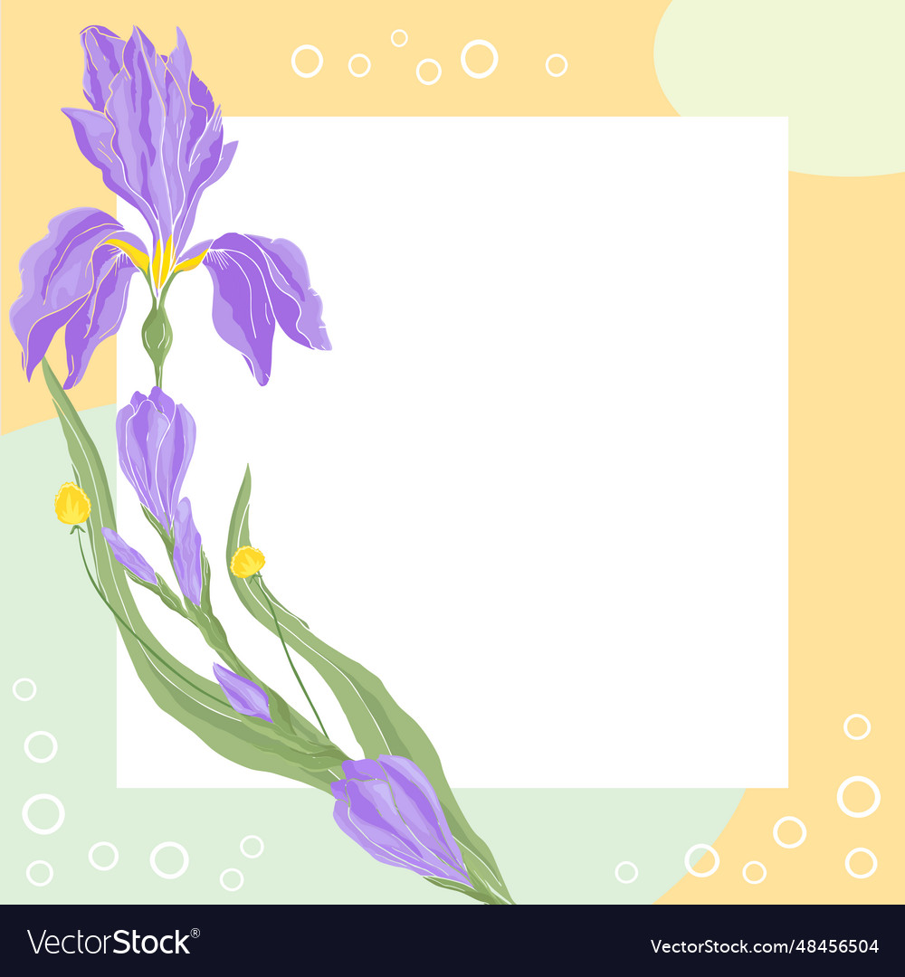 Iris floral template square frame with hand drawn