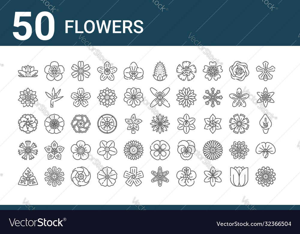 Set 50 flowers icons outline thin line