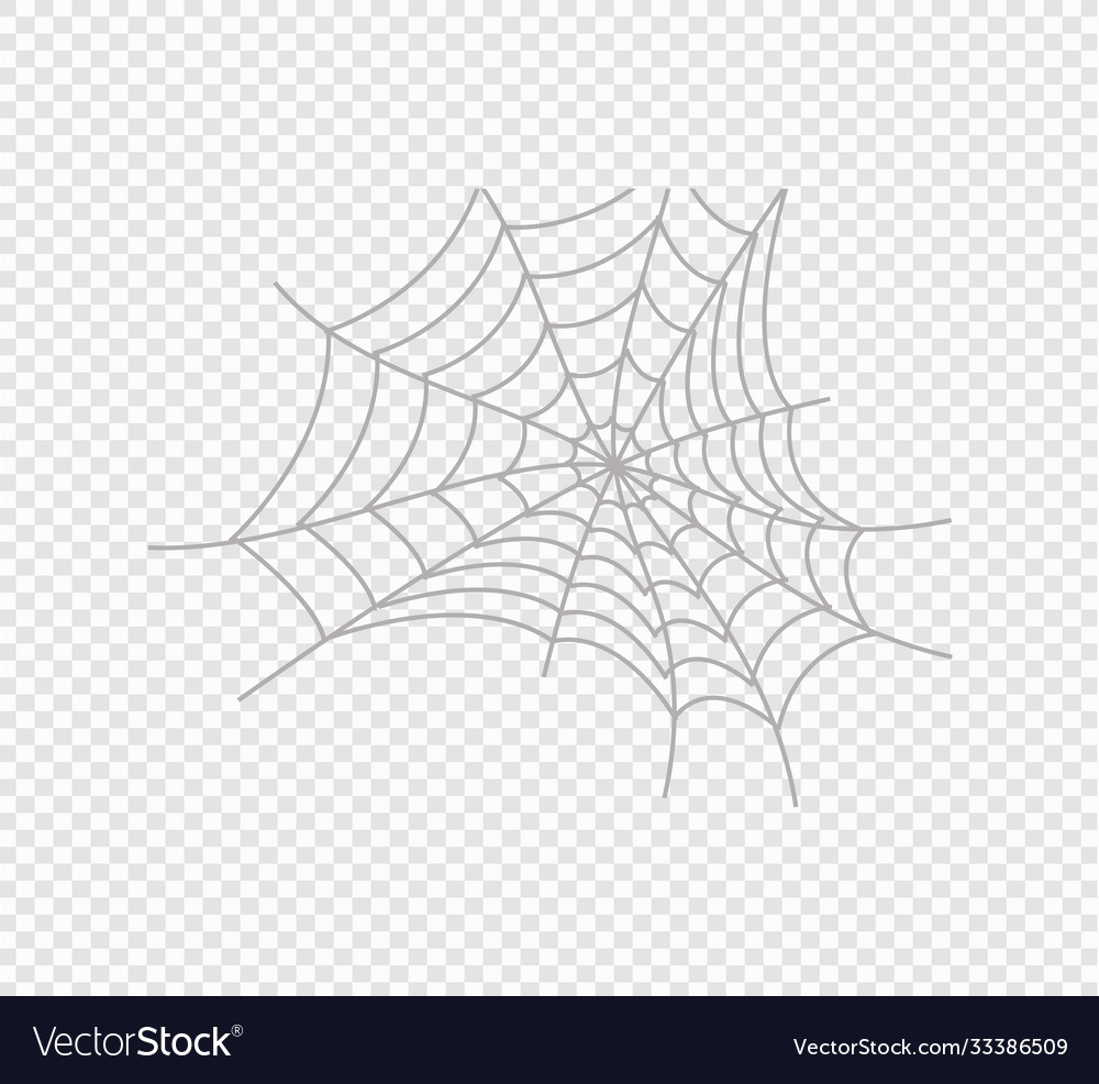 Creepy spider web over transparent background vector image Creepy spider web over transparent background