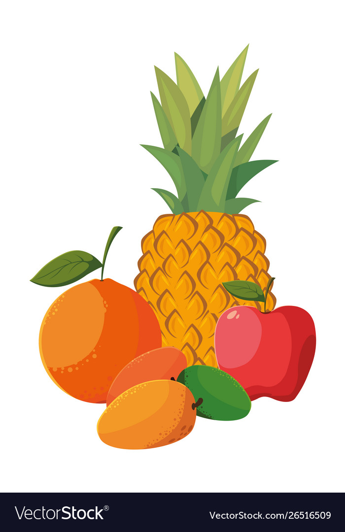 Fresh fruits pineapple orange apple mango Vector Image