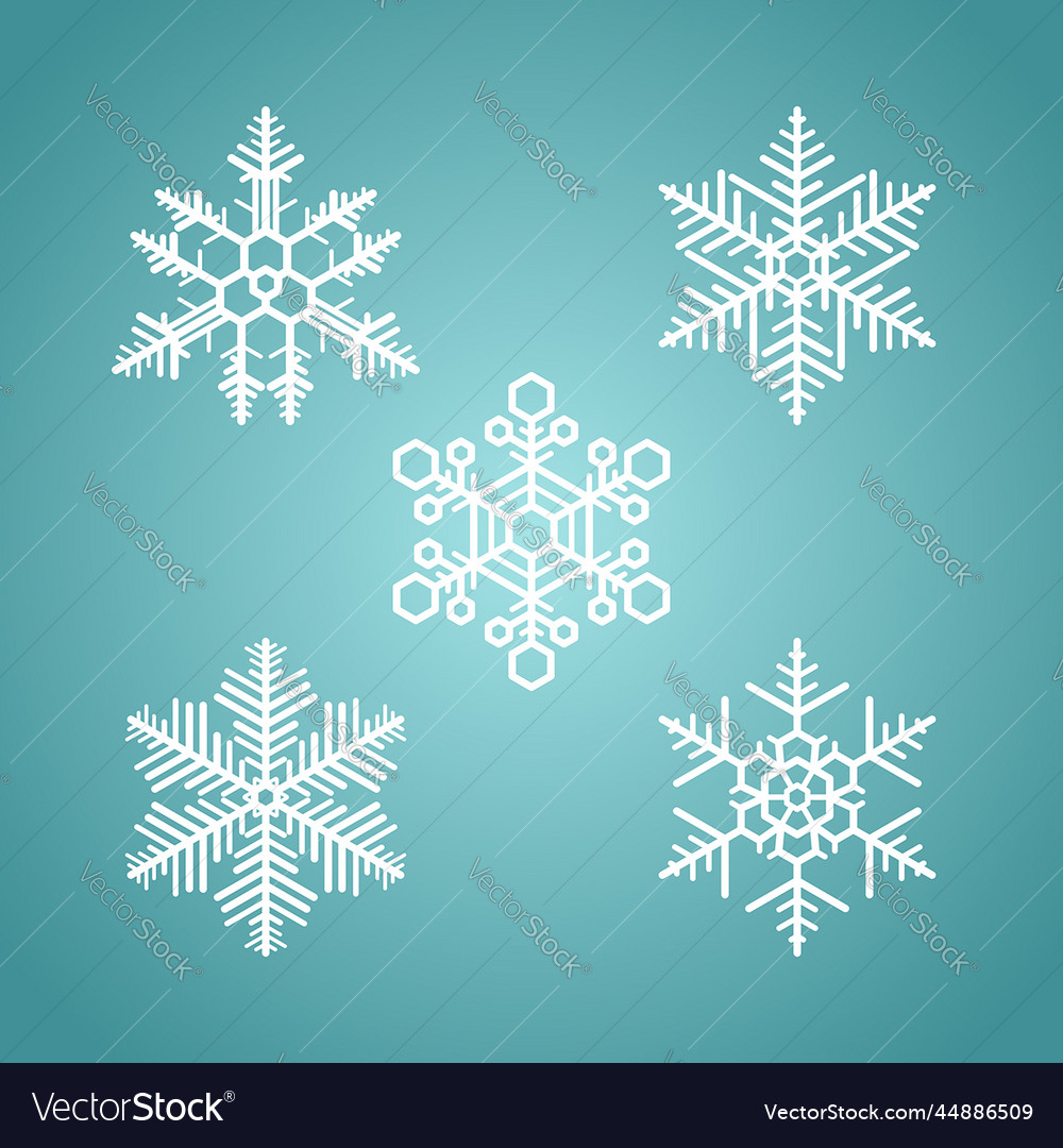 Set of 5 snowflake icons pattern vector image Set of 5 snowflake icons pattern