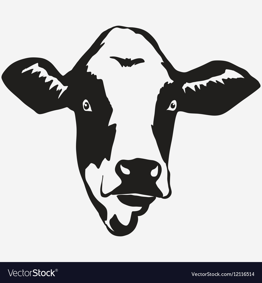 Cow head Royalty Free Vector Image - VectorStock